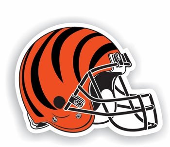 Cincinnati Bengals Premium Car Magnets - Set Of 2