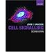 Cell Signalling