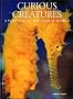 Curious Creatures (Portrait of the Animal World)