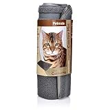 Petmate Litter Catcher Mat Large, Waterfall Blue