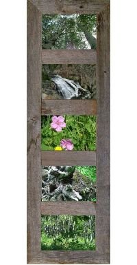 Vertical Barnwood Panel Frames for 5 4x6 Pictures