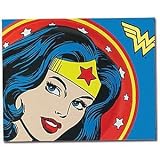 Wonder Woman Fleece Throw Blanket ~ Dc Comic Book ~ 50 in X 60 In.