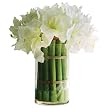 Amaryllis Faux Floral Arrangement in Cylinder Vase - 20"