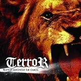 CD - Rhythm Amongst the Chaos von Terror