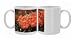 Photo Mugs of MAB-627 Pohutukawa tree - with brilliant red flowers from Ardea Wildlife Pets