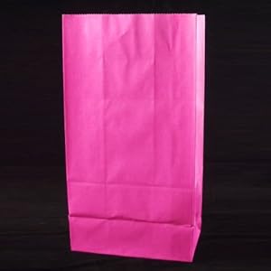Bulk Solid Color Paper Sack Lunch Bags Hot Pink 5.3125" Wide x 10" High x 3.25" Deep Case of 240 Lunch Sacks