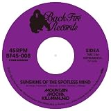 Sunshine of the Spotless Mind c/w K.I.T.T. - KNIGHT RIDER MAIN TITLE (DJ UPPERCUT REMIX) [7 inch Analog]