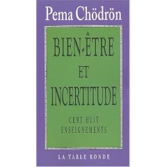 Bien-�tre et incertitude : Cent huit enseignements