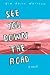 Search : See You Down the Road: A Novel (Booklist Editor's Choice. Books for Youth (Awards))