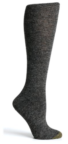 Childrens Toyshop  Sporting Goods : Gold Toe Women's Sundance Knee Sock