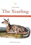 Understanding Great Literature - The Yearling
