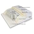 Moonlight Slumber Standard Innerspring Crib Mattress
