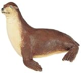 Sea lion 41XQMPQTVJL. SL160 Sea lion