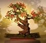 Bonsai Boy's Artificial Pyracantha Bonsai Tree
