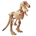 Educational Insights Dino Digs Set- Tyrannosaurus Rex