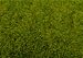 Spielwaren :  08300 - NOCH - Frühlingswiesen-Gras