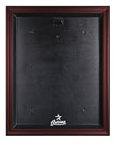 Houston Astros Mahogany Framed MLB Jersey Display Case