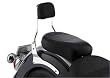 Cobra Short Sissy Bar 02-5635