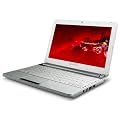 Packard Bell - NU.BXRET.001 - NETBOOK INTEL(R) ATOM N2600 (1.60GHZ) // 1GB DDR3 RAM // 320 GB // WIF