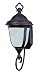 Thomas Lighting Pl5206-23 Biltmore Energy Star Certified One-Light Outdoor Wall Lantern, Colonial Bronze