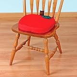 Apple Chair Cover