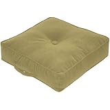Greendale Home Fashions 20-Inch Square Floor Pillow Omaha/Amigo fabric, Buff