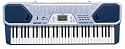 Casio CTK-491 61-Key Portable Keyboard
