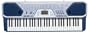 Casio CTK-491 61 Key Full Size Keyboard
