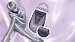 Personal Health Care : Braun Silk Epil Eversoft Body System - 3370