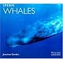 Sperm Whales