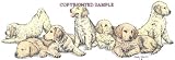 Golden Retriever - Puppies in a Row by Cindy Farmer