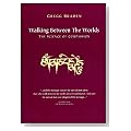 Walking Between the Worlds  Cover image