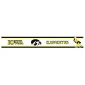 Iowa Hawkeyes Wall Border 2-pk.