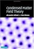 Condensed Matter Field Theory