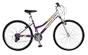 Reflex Tamarind 20" Ladies Mountain Bike