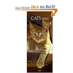 Cats 2010. PhotoArt Vertical