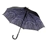 Fine Art Rain or Sun Umbrella--Cathedral AUTOMATIC FULL-SIZE STICK Umbrella by Galleria