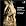 Monteverdi - Madrigali guerrieri ed amorosi / Concerto Köln, Jacobs