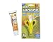 Baby Banana Infant Teether with Spry Gel