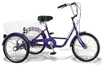 Dreirad 20 Zoll Fahrrad Behindertenfahrrad Therapierad mit Shimano Nexus 3-Gang Schaltung
