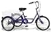 Suchen : Dreirad 20 Zoll Fahrrad Behindertenfahrrad Therapierad mit Shimano Nexus 3-Gang Schaltung
