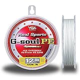 YGKよつあみ Gソウル PE100m 6LB 0.4号