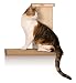 SmartCat Sky Climber