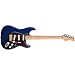 Fender