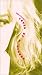Search : Loves of a Blonde