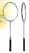 Sporting Goods : Domino Power Champion 6000 badminton racket Free Shipping Free String
