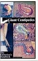 Giant Centipedes, The Enthusiast's Handbook