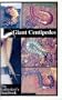 Giant Centipedes, The Enthusiast's Handbook