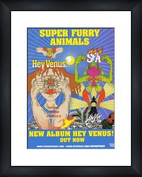 SUPER FURRY ANIMALS Hey Venus - Custom Framed Original Ad - Framed Music Poster/Print