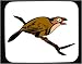 Mouse Pad with barbet, singing, bird, animal